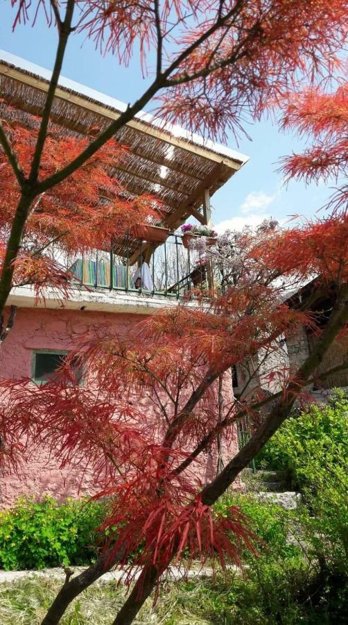 La Casa Rosa Di Segusino With Spa Jacuzzi In Garden Sequsino ภายนอก รูปภาพ